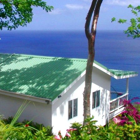 Nature'S Paradise Bed & Breakfast Marigot Bay Ngoại thất bức ảnh