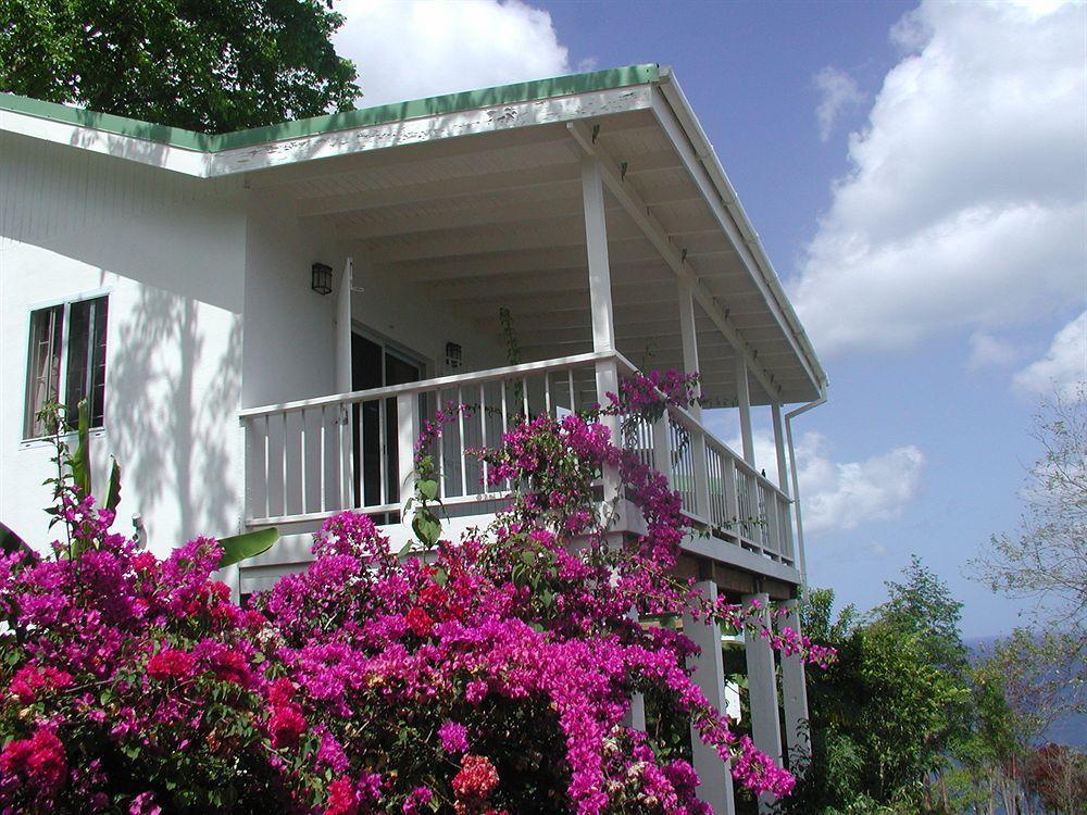 Nature'S Paradise Bed & Breakfast Marigot Bay Ngoại thất bức ảnh