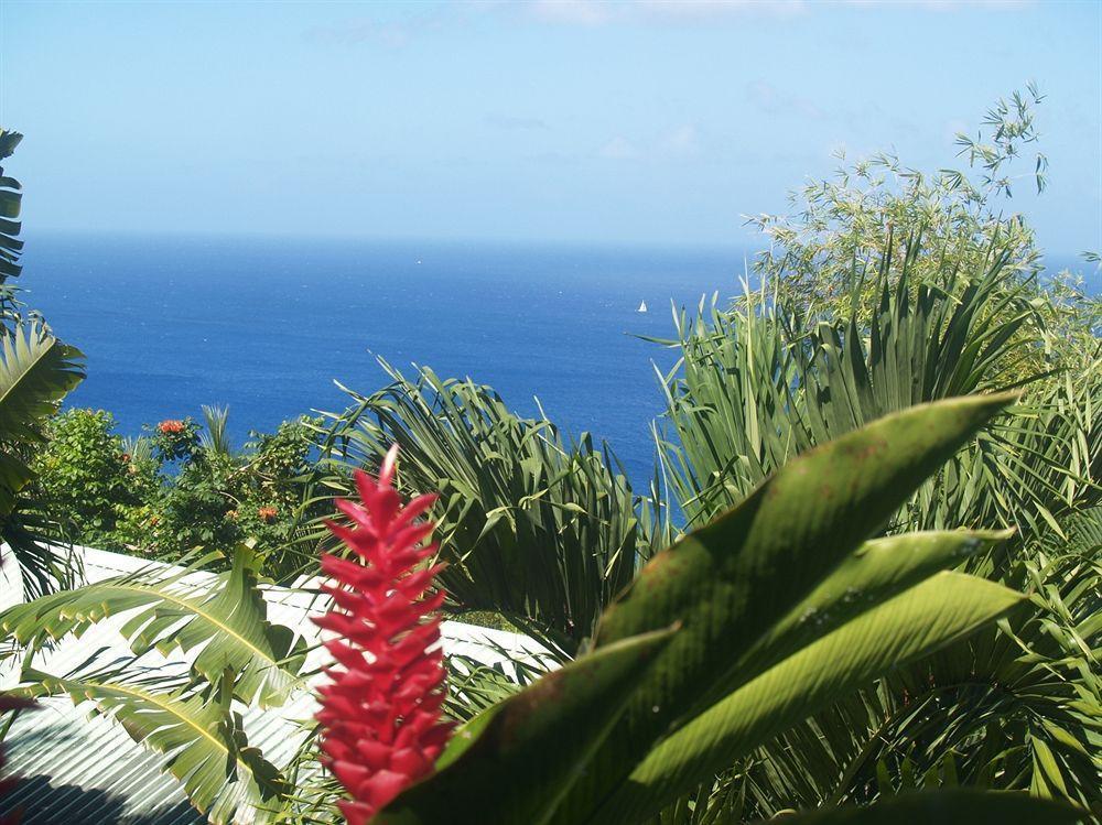 Nature'S Paradise Bed & Breakfast Marigot Bay Ngoại thất bức ảnh