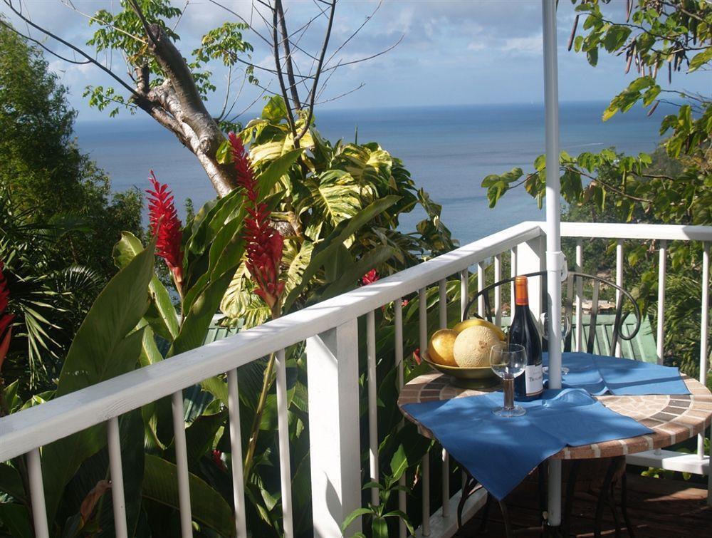 Nature'S Paradise Bed & Breakfast Marigot Bay Ngoại thất bức ảnh