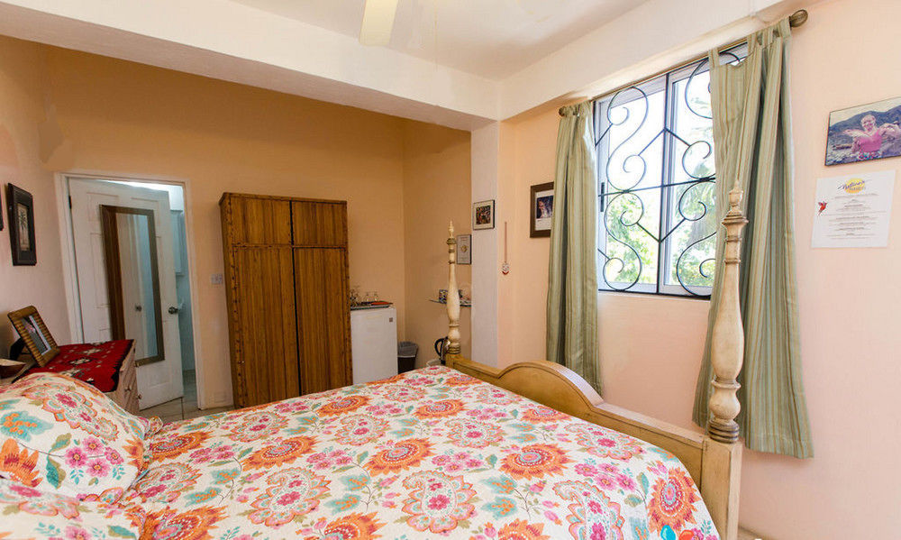 Nature'S Paradise Bed & Breakfast Marigot Bay Ngoại thất bức ảnh