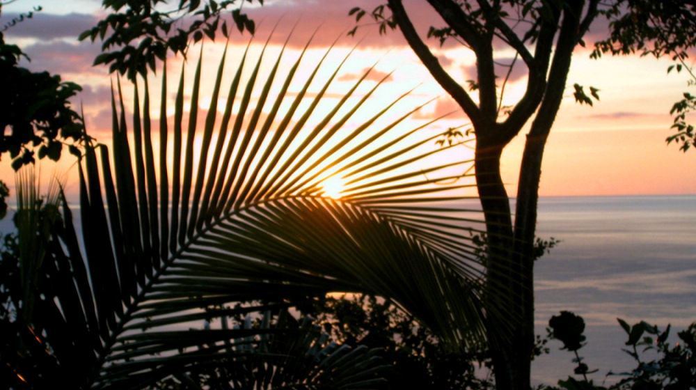 Nature'S Paradise Bed & Breakfast Marigot Bay Ngoại thất bức ảnh