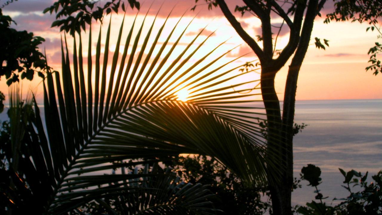 Nature'S Paradise Bed & Breakfast Marigot Bay Ngoại thất bức ảnh