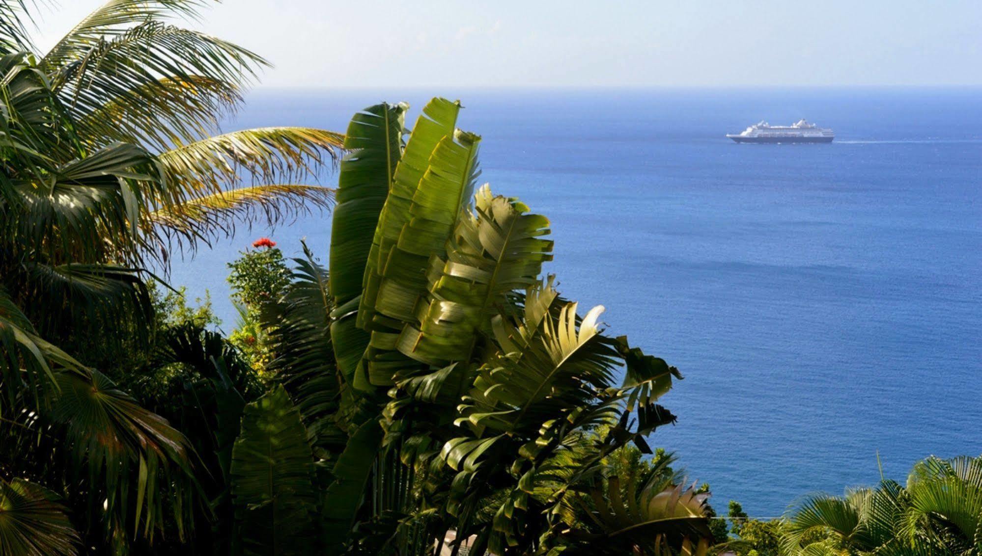 Nature'S Paradise Bed & Breakfast Marigot Bay Ngoại thất bức ảnh