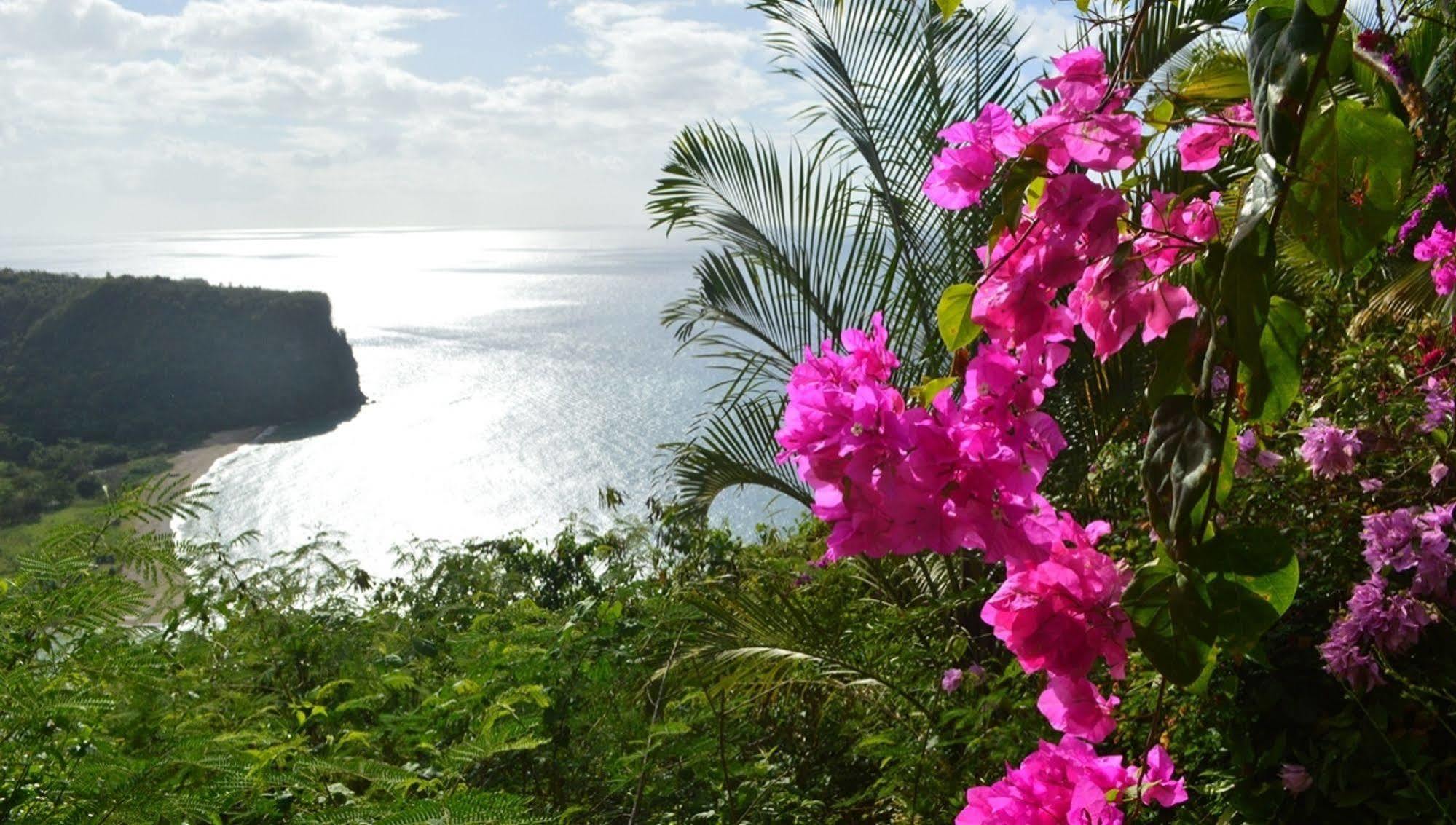 Nature'S Paradise Bed & Breakfast Marigot Bay Ngoại thất bức ảnh